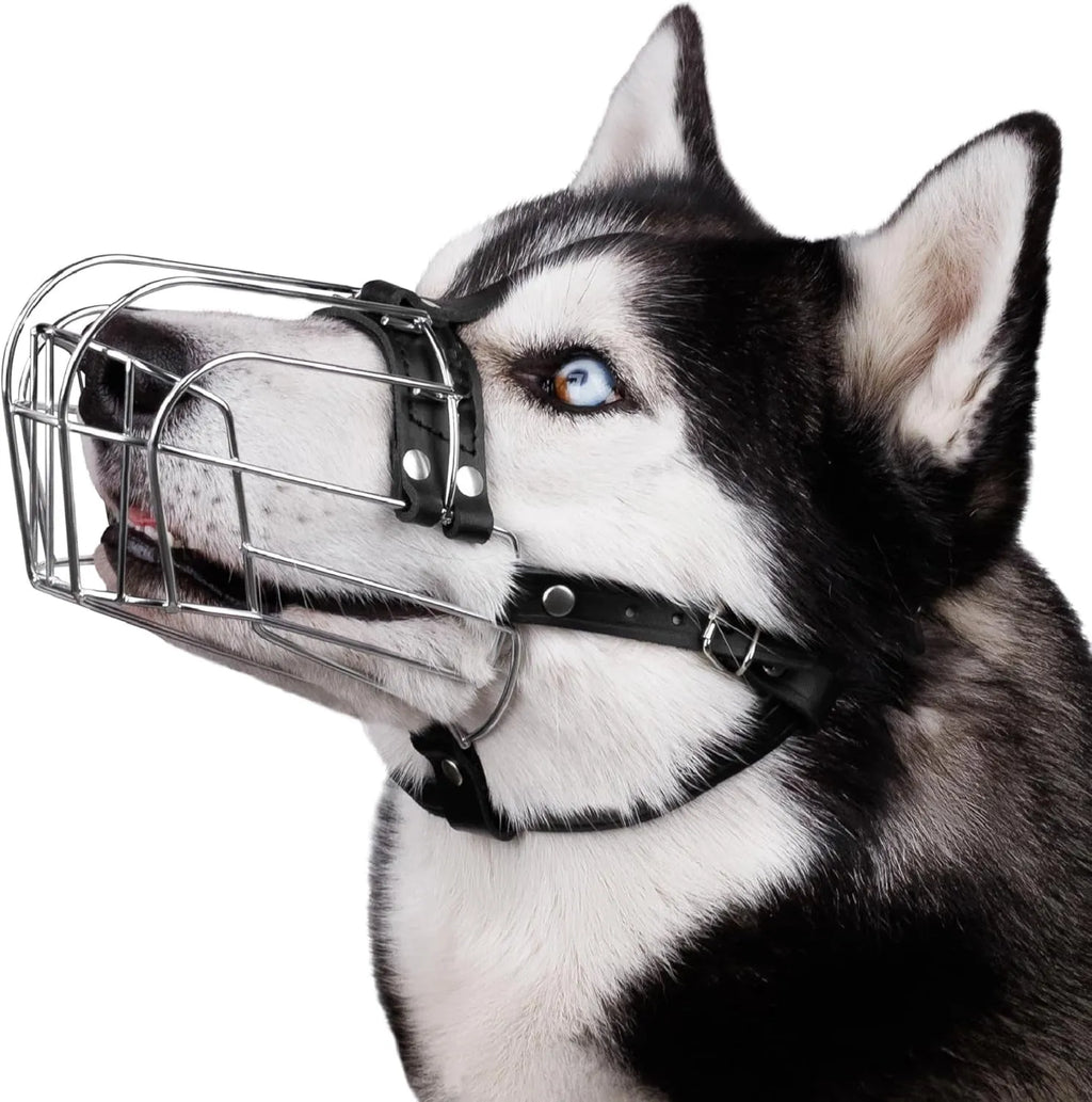 Black metal dog muzzle designed for golden retriever and German shepherd breeds.