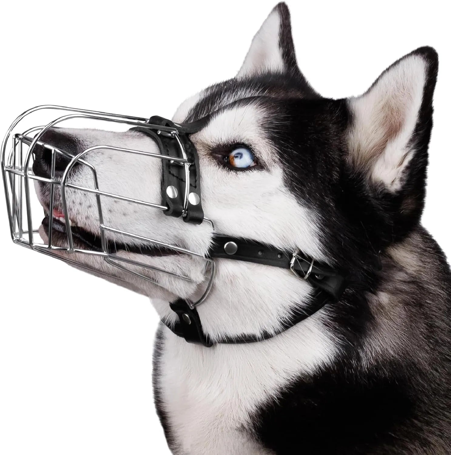Black metal dog muzzle designed for golden retriever and German shepherd breeds.
