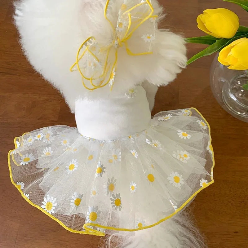 Yellow daisy print mesh dog summer clothes for small to extra large dogs