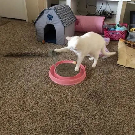 Blue circular cat scratcher with ball track and replaceable cardboard centre