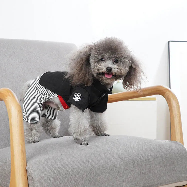 Cotton poodle dog clothes in skirt and four-legged pants styles for spring and autumn seasons