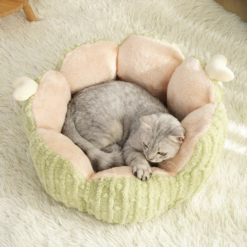 Soft green cactus-shaped pet kennel bed for cats and small dogs on a wooden floor.