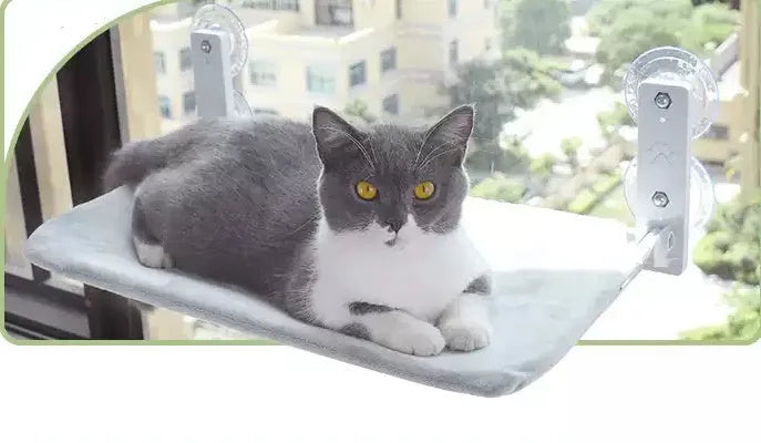 Cat resting on a suction cup window hammock made of plush fabric and steel in beige colour
