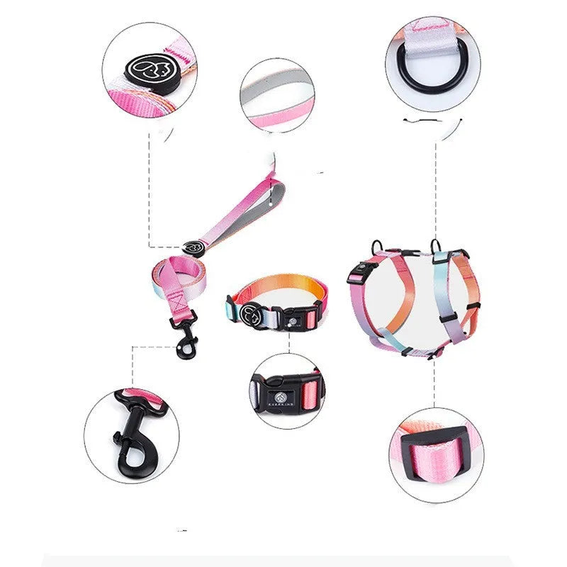 Gradient colour pet chest strap harness showing four pattern options for dog walking