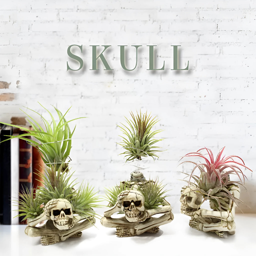 Resin tillandsia bracket with gothic skull design for soilless air plants showing dimensions