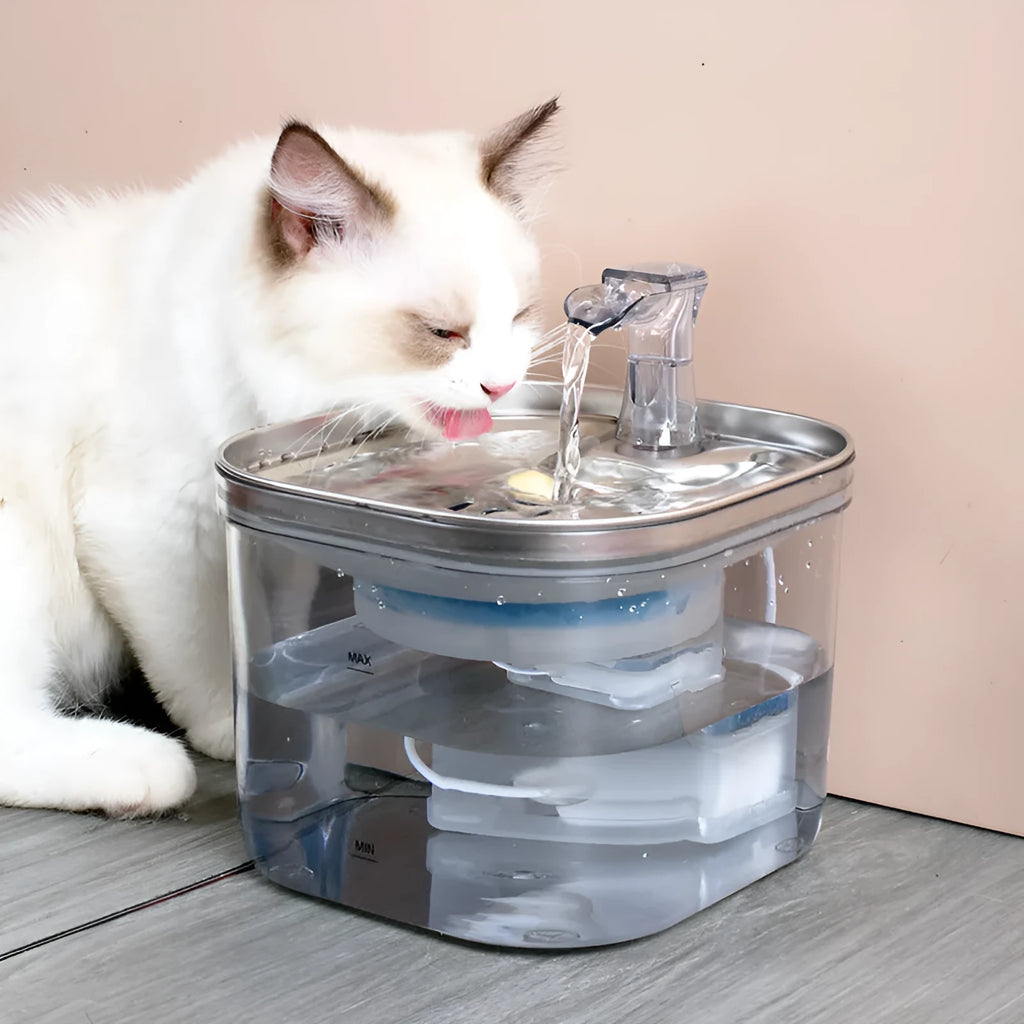 304 stainless steel automatic pet water fountain with 2L capacity and transparent base for multiple pets