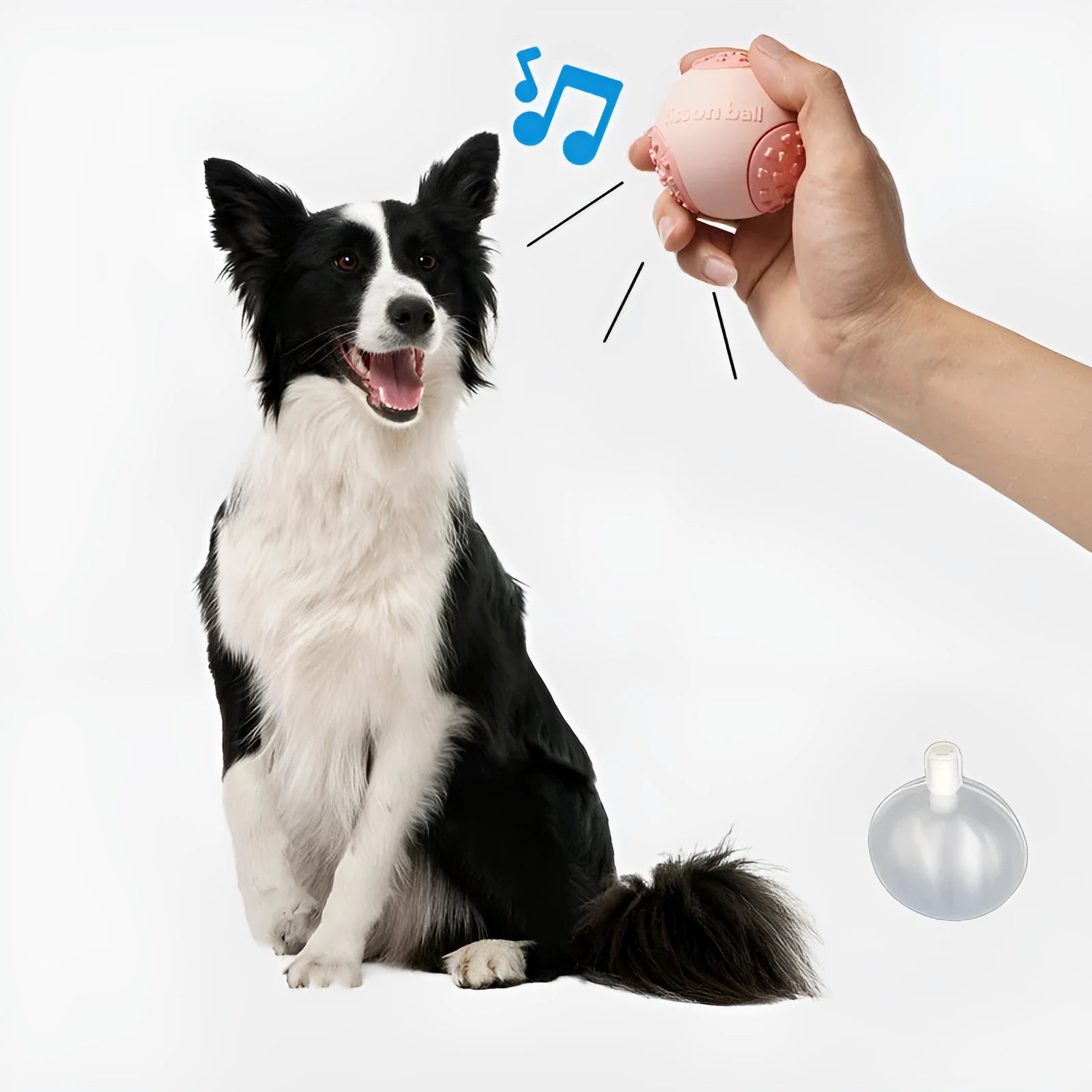 Green and pink rolling ball dog toy with 64mm diameter for small and medium dogs.