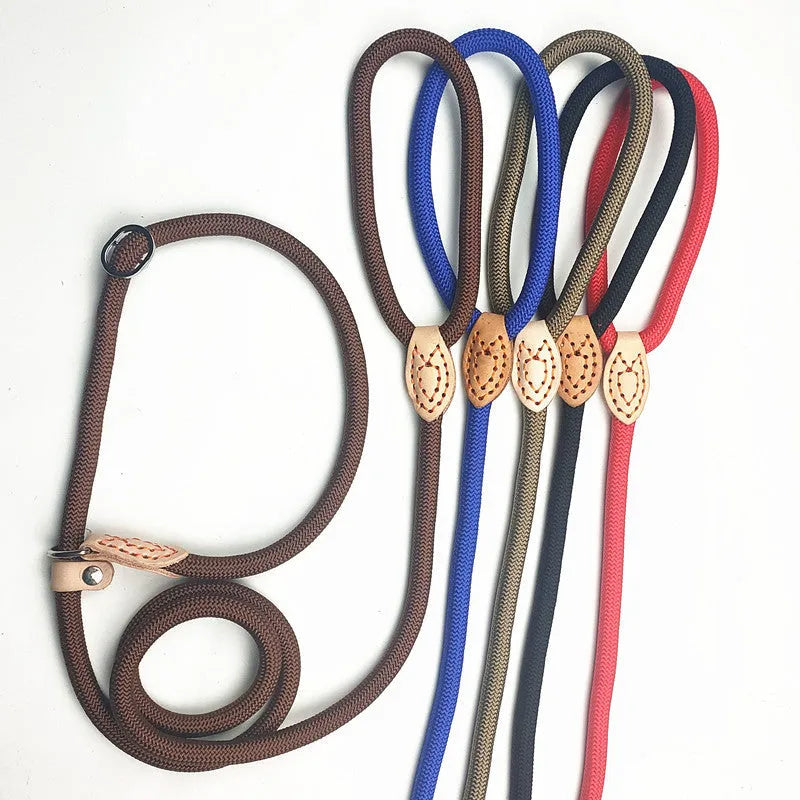 Blast race training dog leash and padded collar set in multiple colours