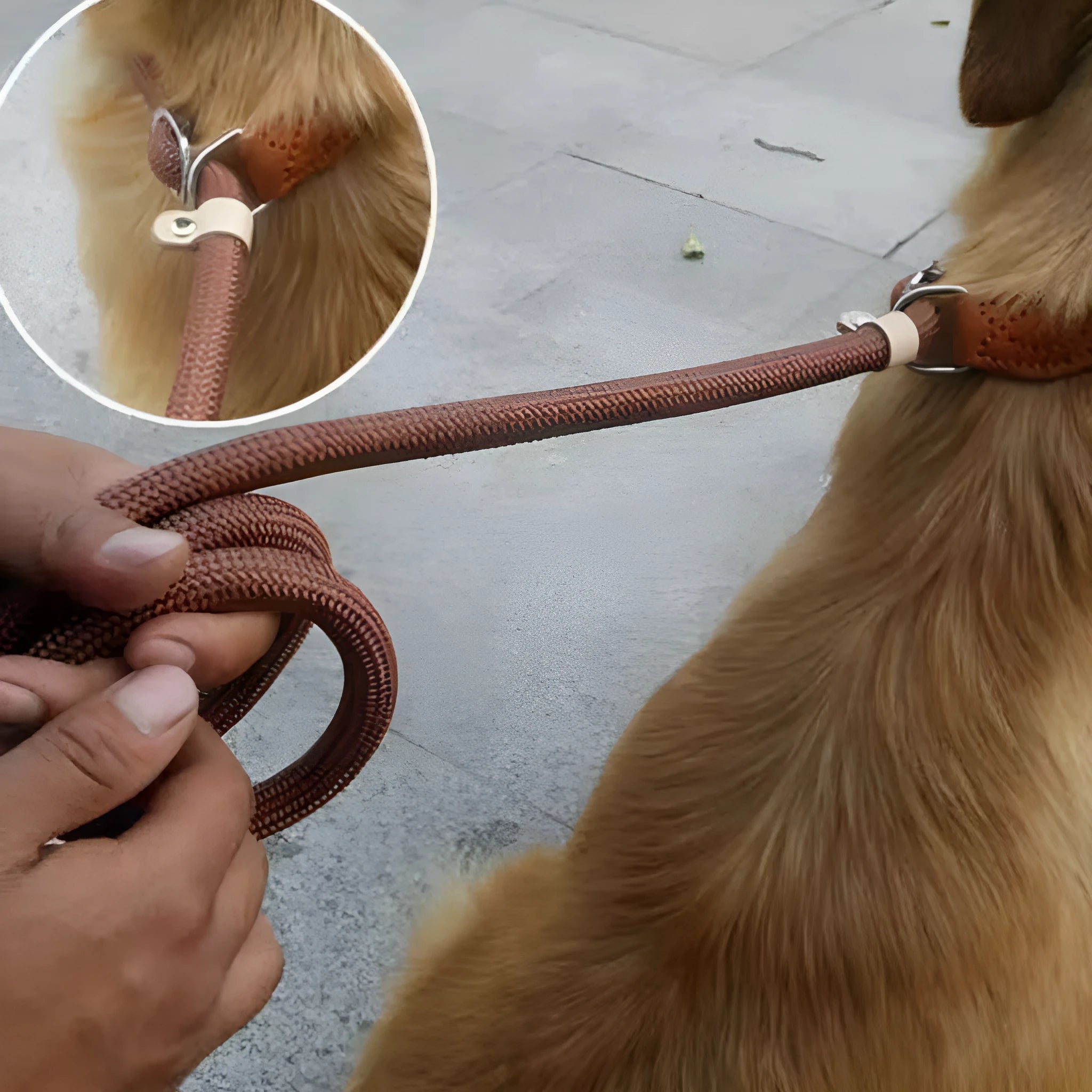 Brown nylon dog leash held in hand showing its 2.1 metre length and P chain handle.