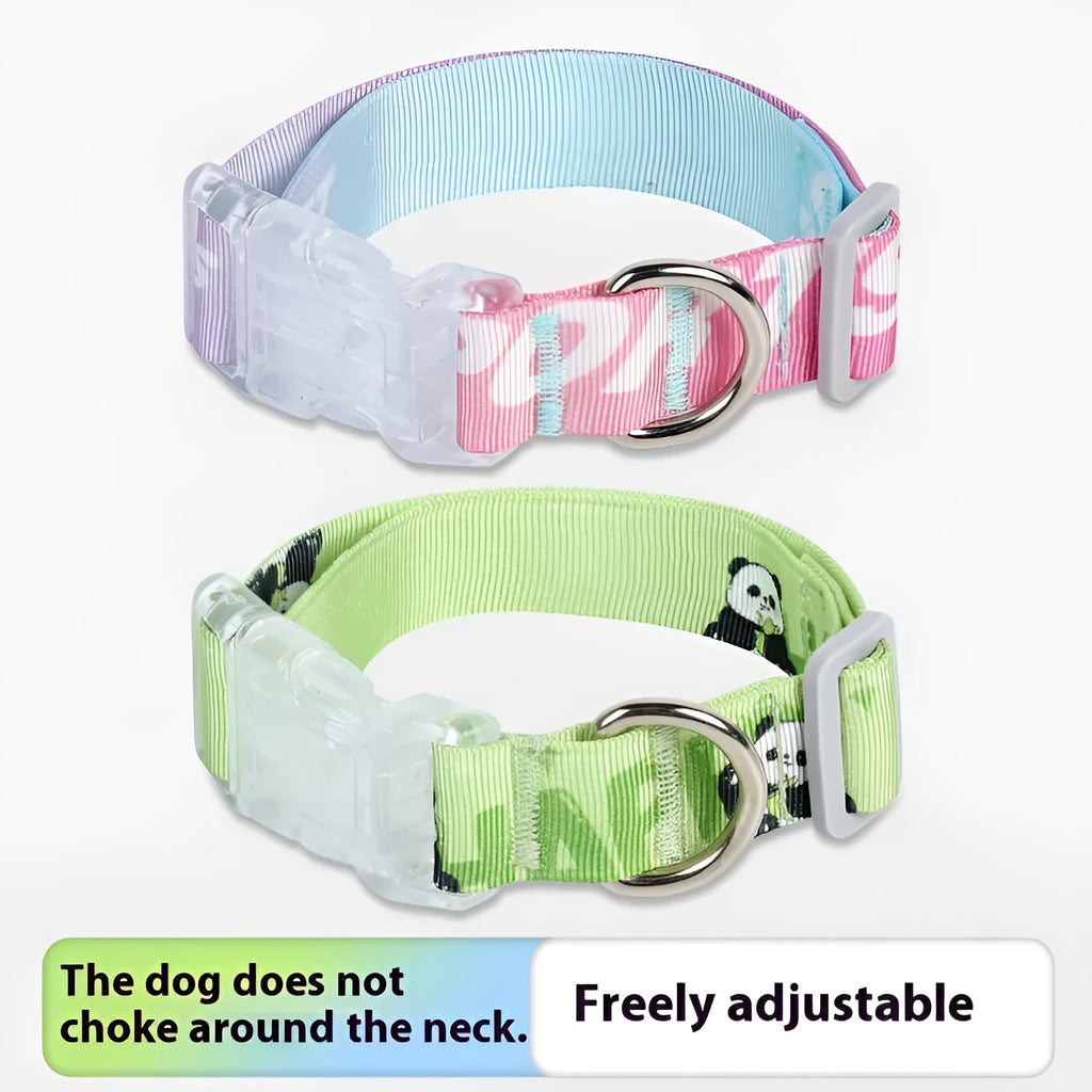 Adjustable nylon dog collar with cartoon gradient pattern in gradient colour and panda green options