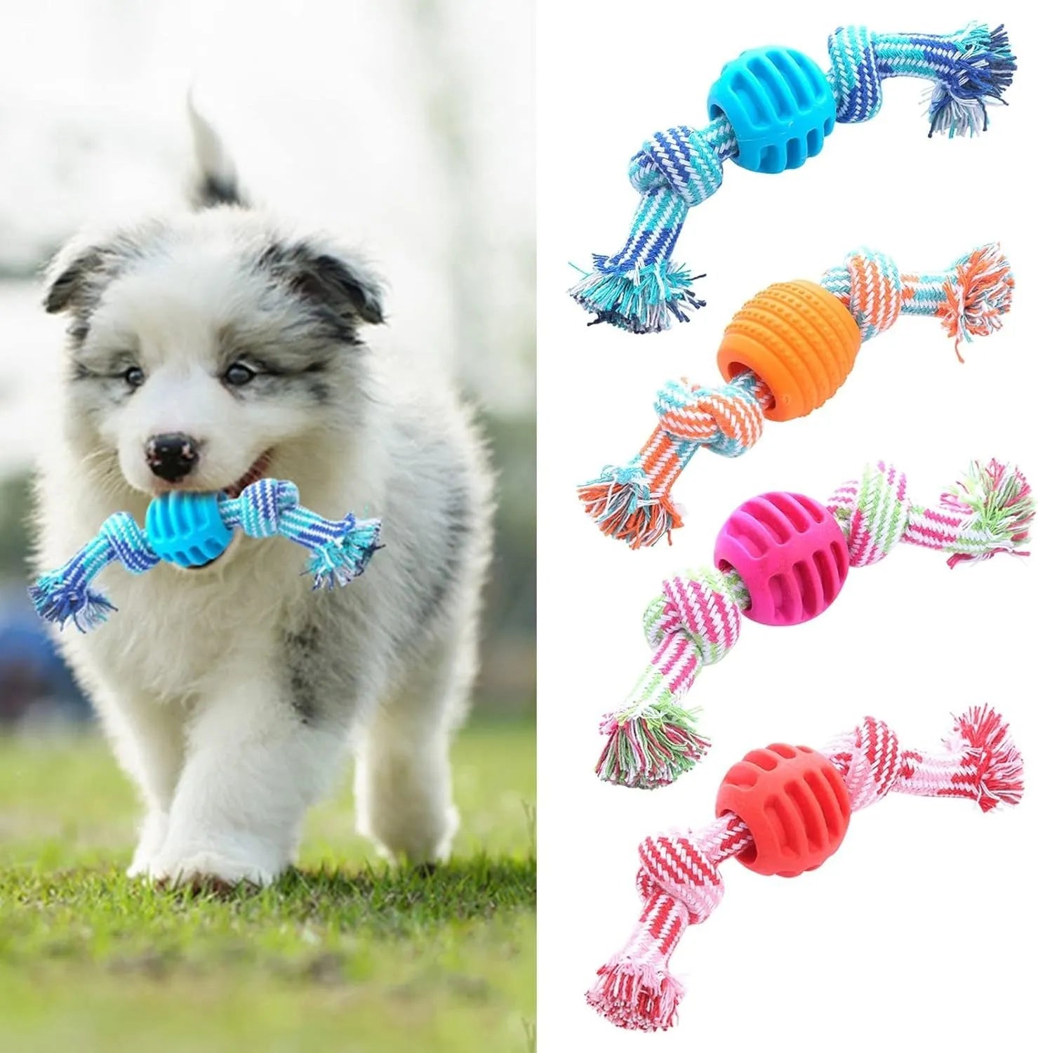 Blue soft dog chew toy in molar shape with integrated white ropes for dental cleaning.