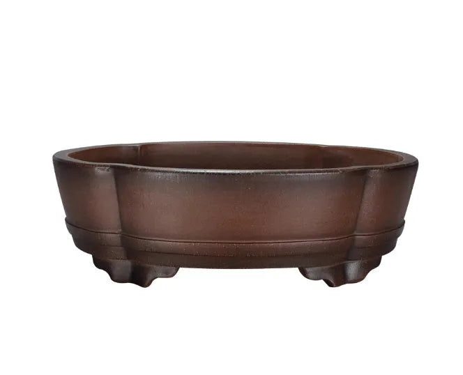 Green classical purple clay bonsai pot with low-profile rectangular shape on a tabletop.