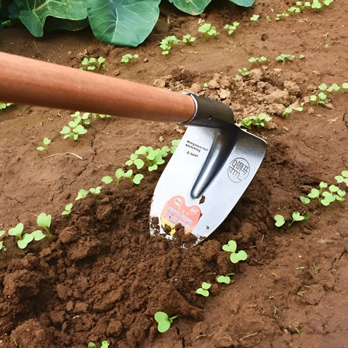 Agricultural pointed hoe with flat blade and steel horse tip for weeding and ploughing.