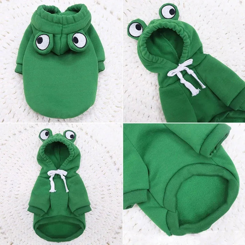 Green frog costume hoodie on a small dog, showing long sleeves and hood