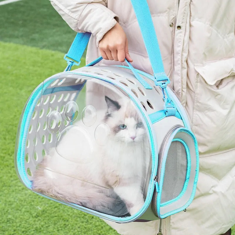 Transparent space capsule cat backpack in hard EVA material showing interior space