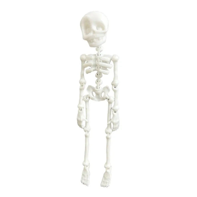 3D printed PLA skull refrigerator magnet in multiple colour options for Halloween decoration