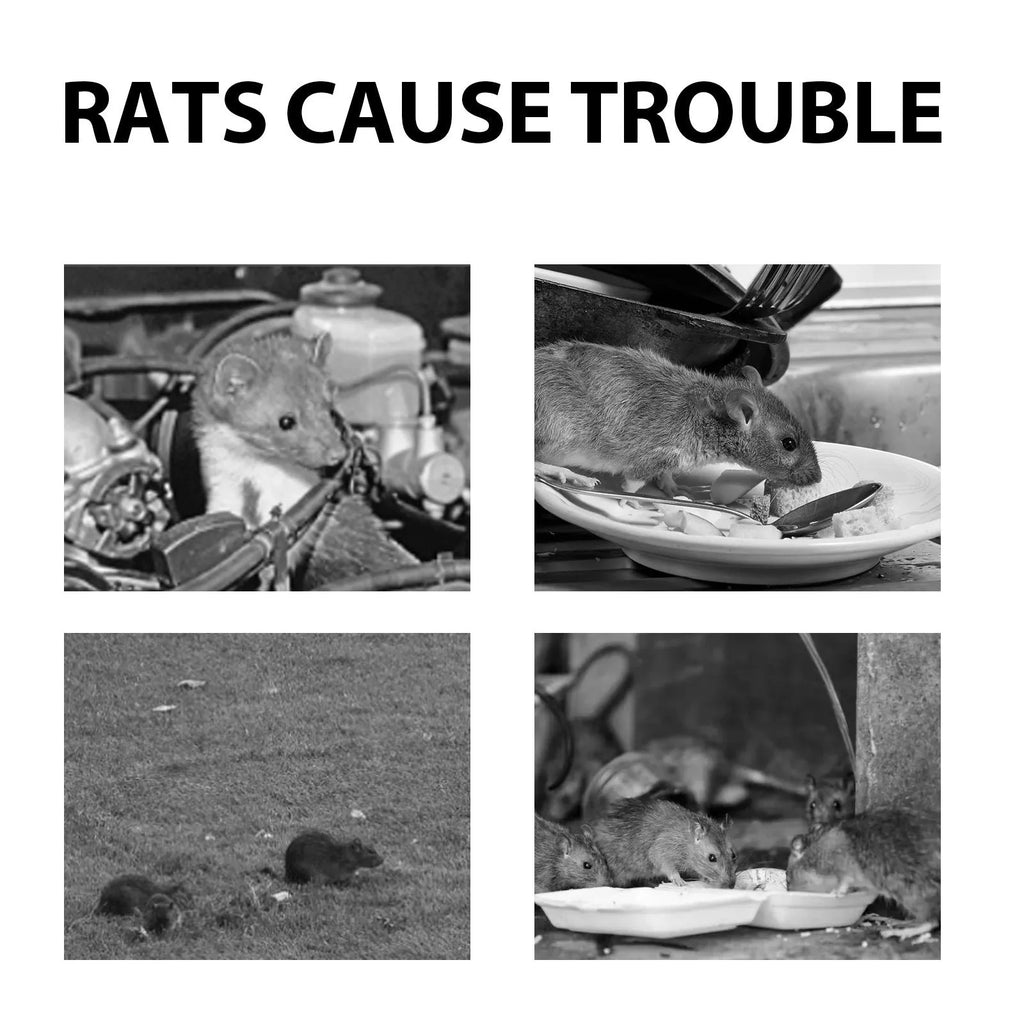 60ml bottle of natural rat repellent spray with ingredients including clove oil and peppermint oil.
