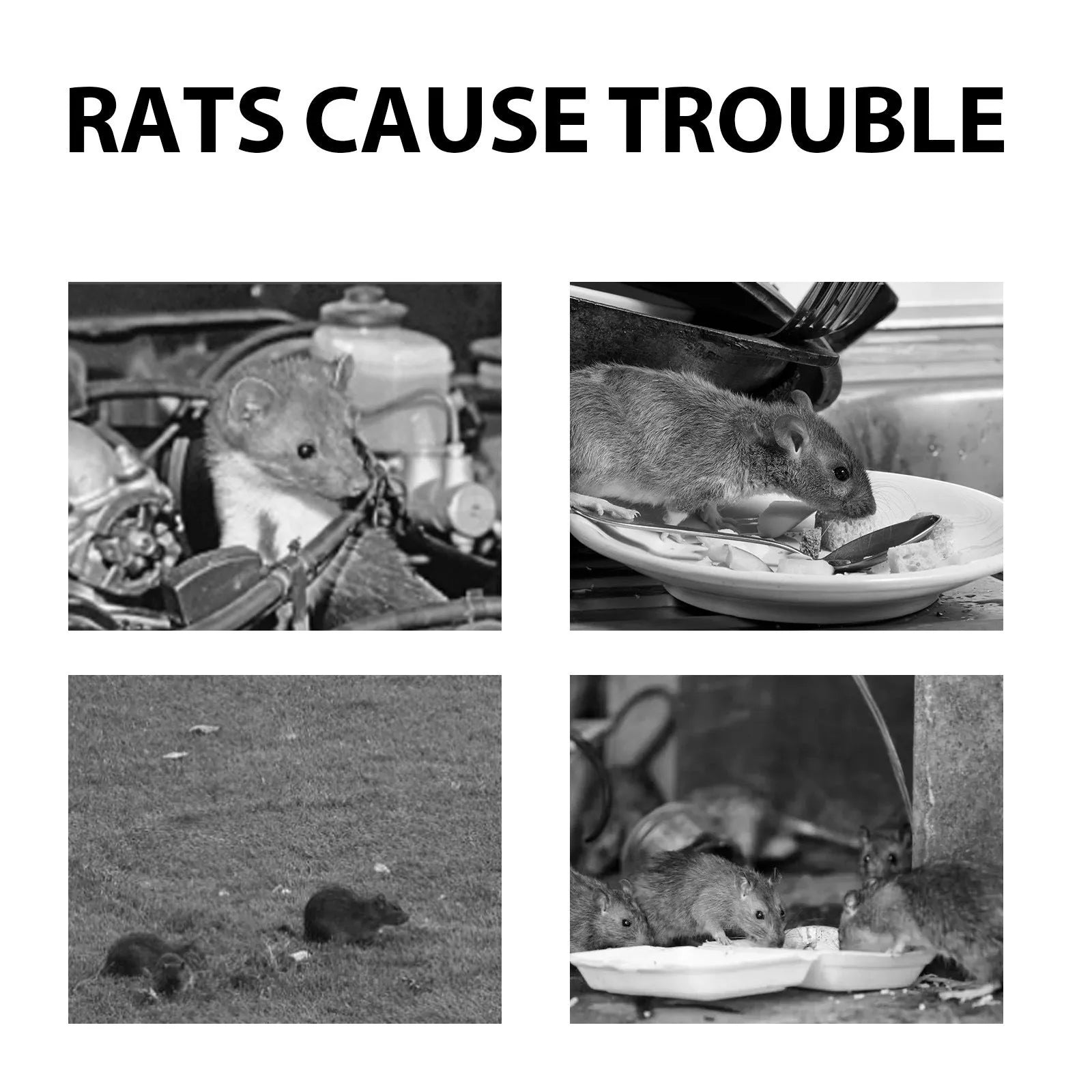 60ml bottle of natural rat repellent spray with ingredients including clove oil and peppermint oil.
