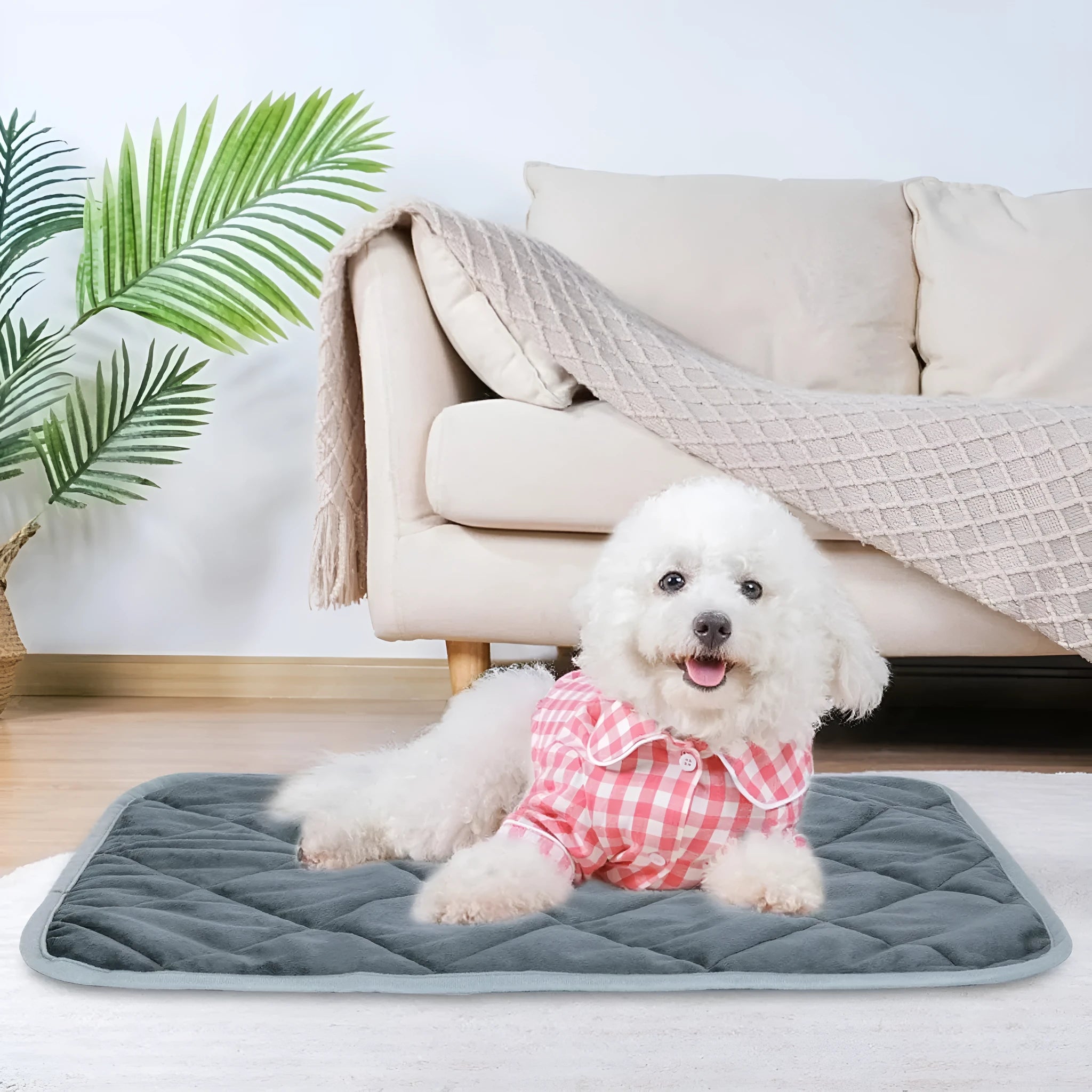 Grey super soft personalised multi-layer pet cushion showing four available size options