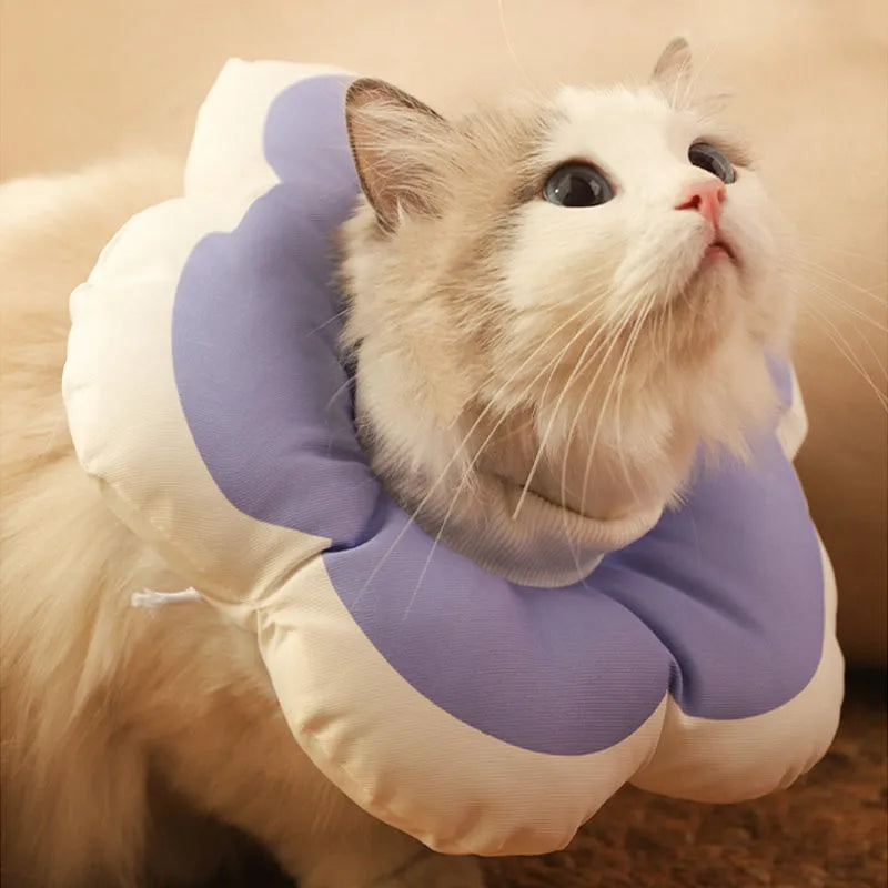 Blue cotton cat recovery collar with a solar flower decoration, shown fastened around a cat's neck.
