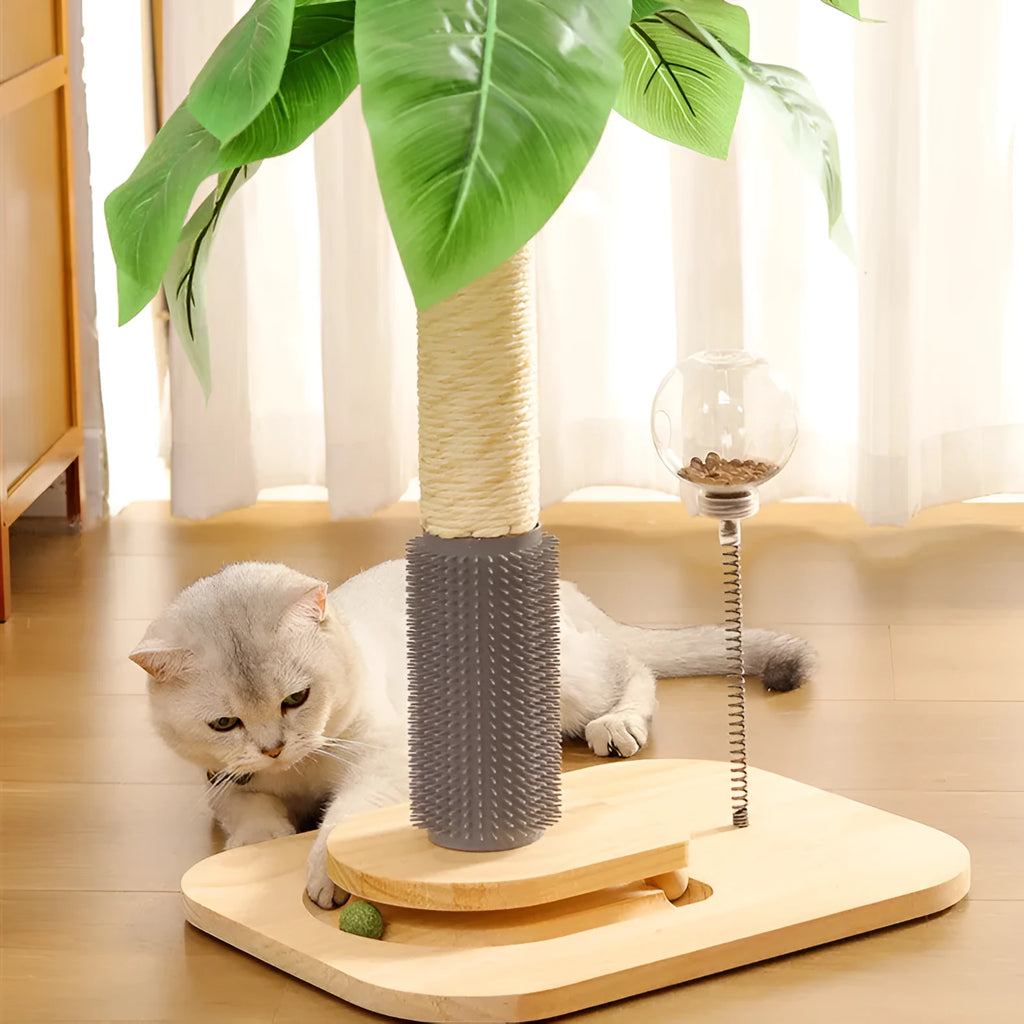 Wooden cat scratching post with canna colour finish and chamfered edges, includes food drop ball toy