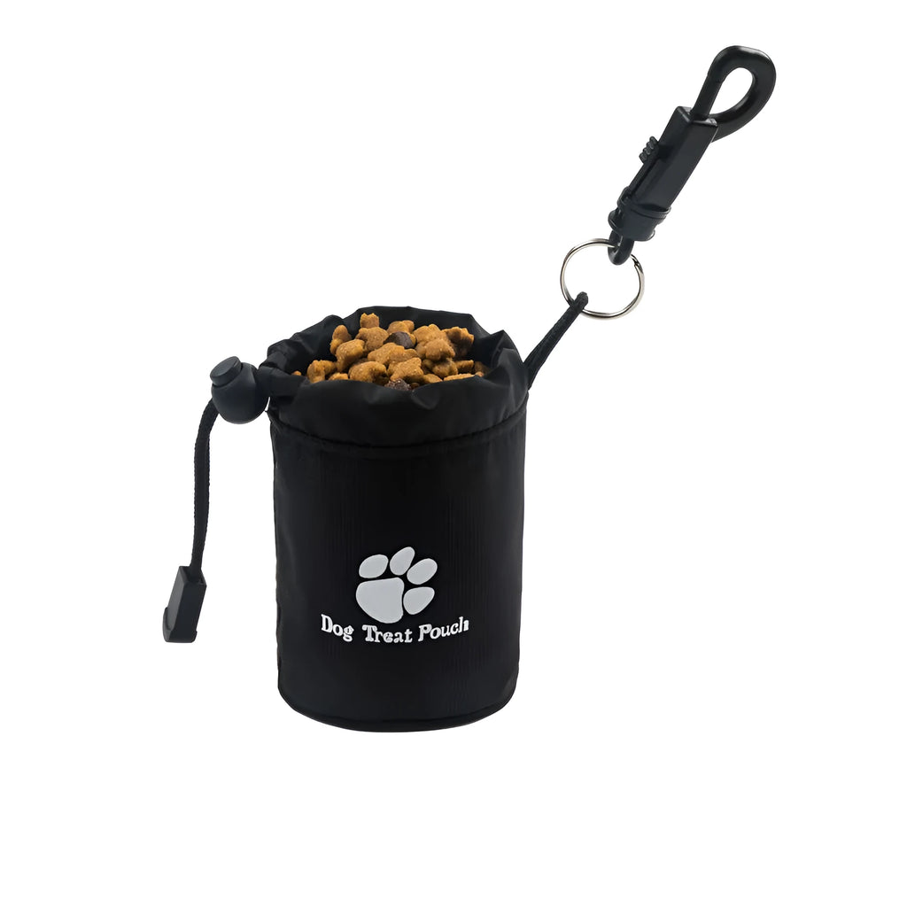 Mini nylon pet training snack bag for dog treats in solid colour options of red, green, black, or blue.