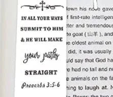 Stainless steel European style bookmark in CF-S5170 steel colour on an open book.