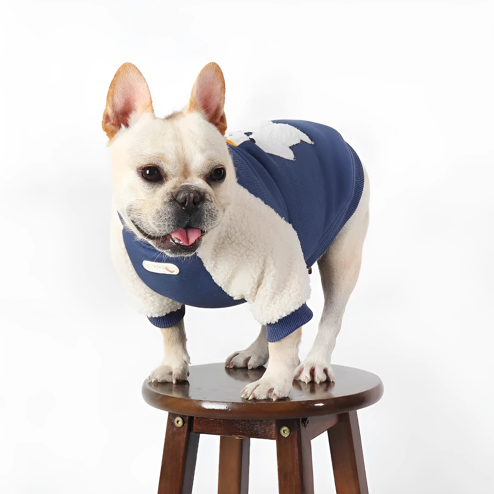 Dark blue cotton winter dog coat with thick fleece lining on a white background