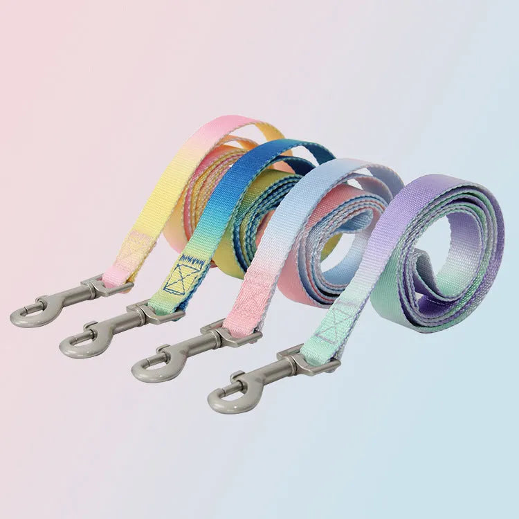 Nylon dog leash and harness set in pink and blue gradient colour, showing collar, leash, and chest strap components.