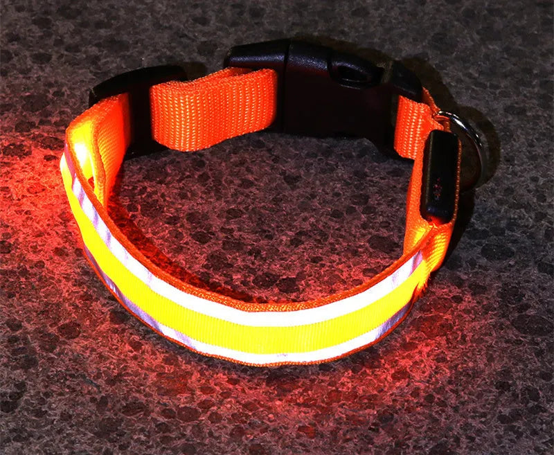 Anti-lost LED luminous dog collar on dog, nylon webbing, monochrome pattern