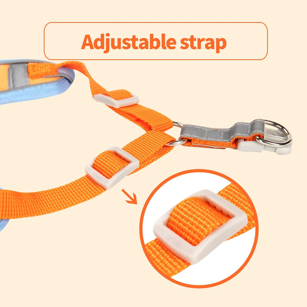 Adjustable purple dog haulage rope harness with chest strap shown on a dog.