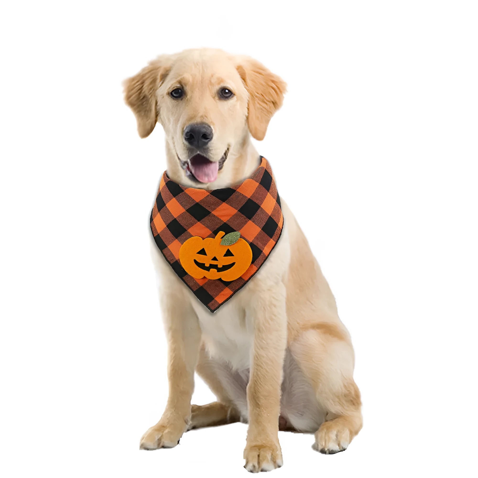 Orange plaid Halloween dog bandana with pumpkin and skeleton felt appliques on a white background