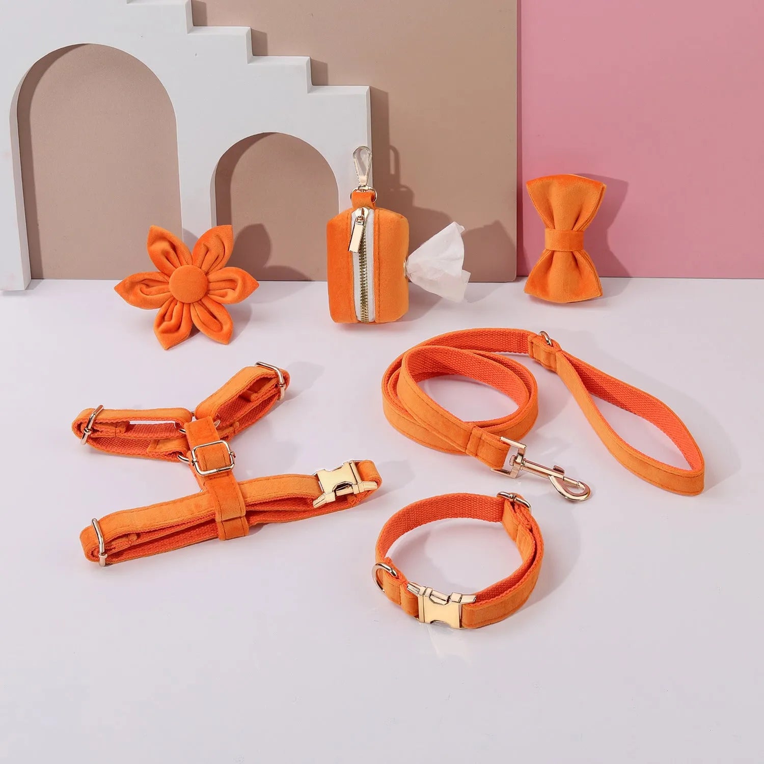 Classic velvet dog collar and matching traction rope set with bow tie and flower decoration.