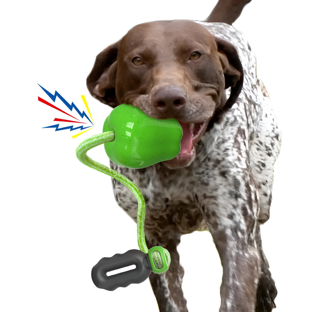 Plastic apple-shaped dog chew toy with molar texture and hollow centre for food dispensing.