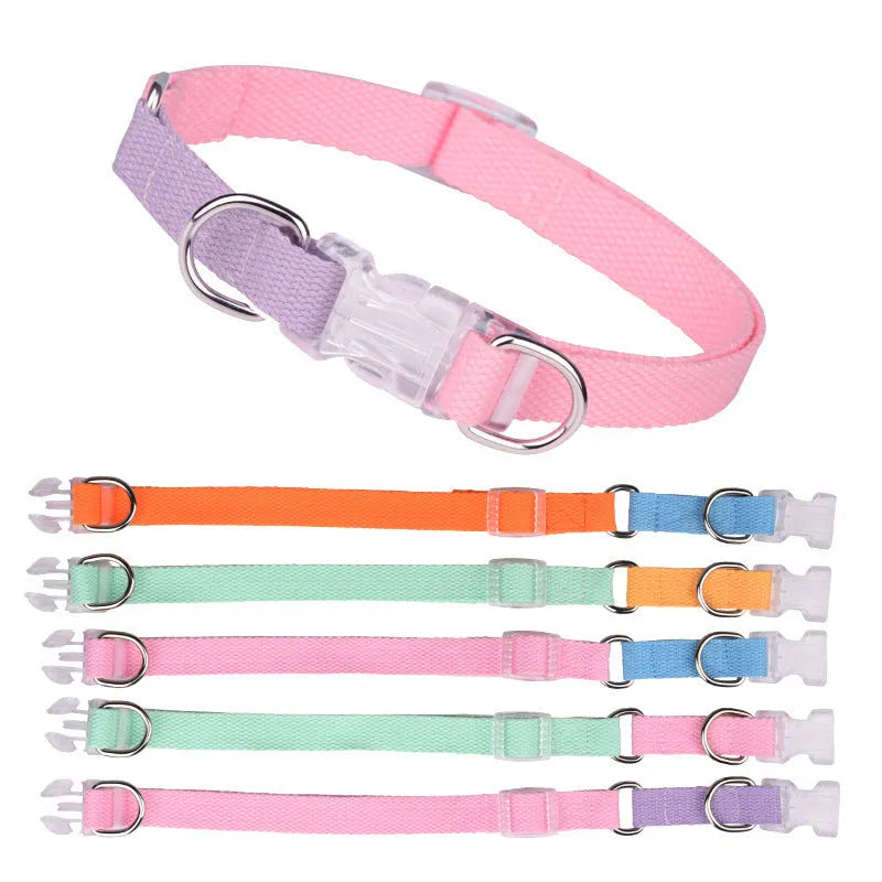 Polyester ribbon dog collar set showing collar, chest strap and traction rope in matching colours