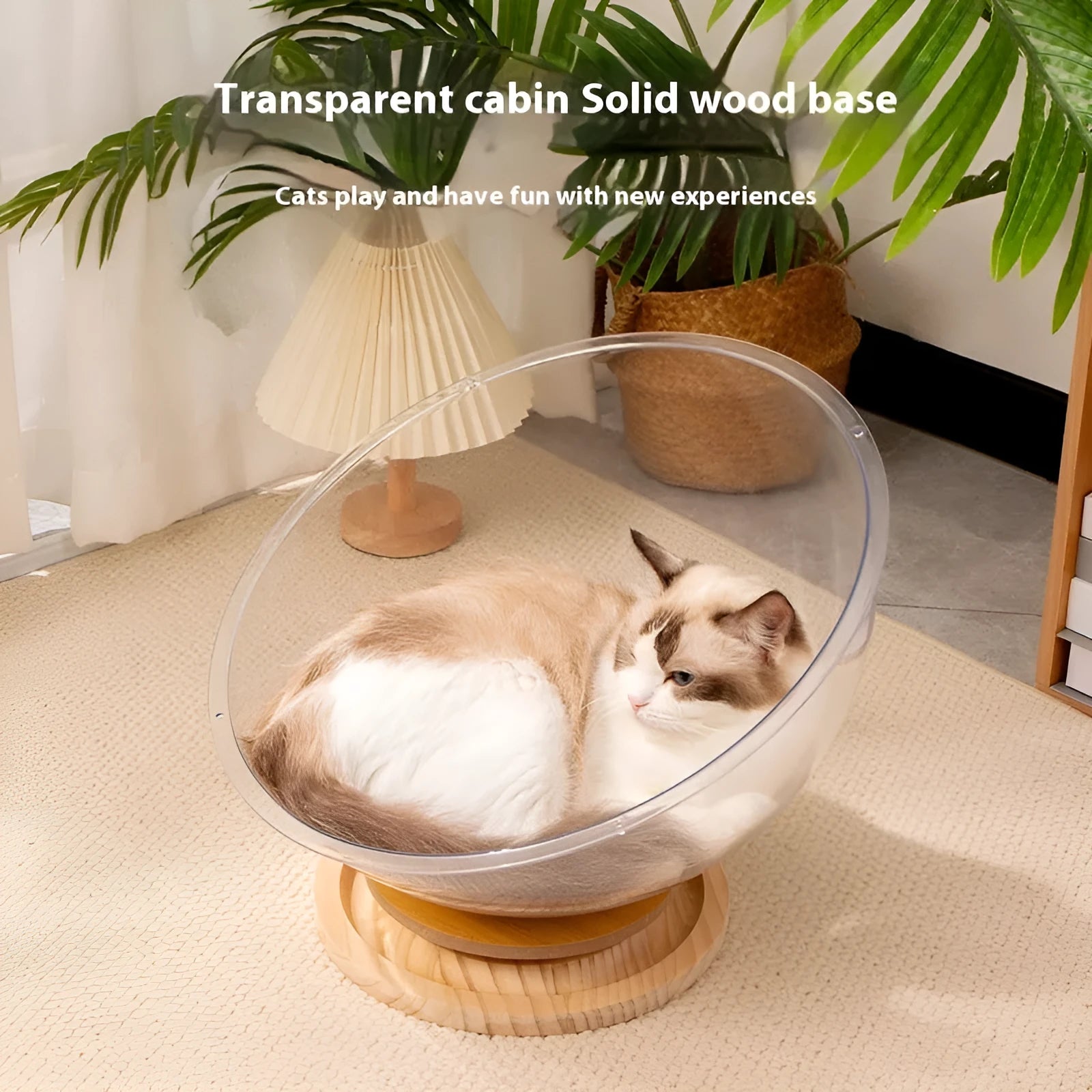 Transparent acrylic space capsule-shaped cat bed or enclosure on a turntable base.