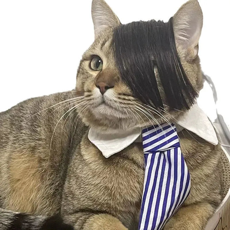 Black polyester cat wig with imitation braid design for pet costume occasions