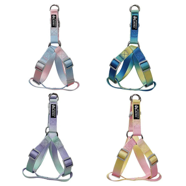 Nylon dog leash and harness set in pink and blue gradient colour, showing collar, leash, and chest strap components.