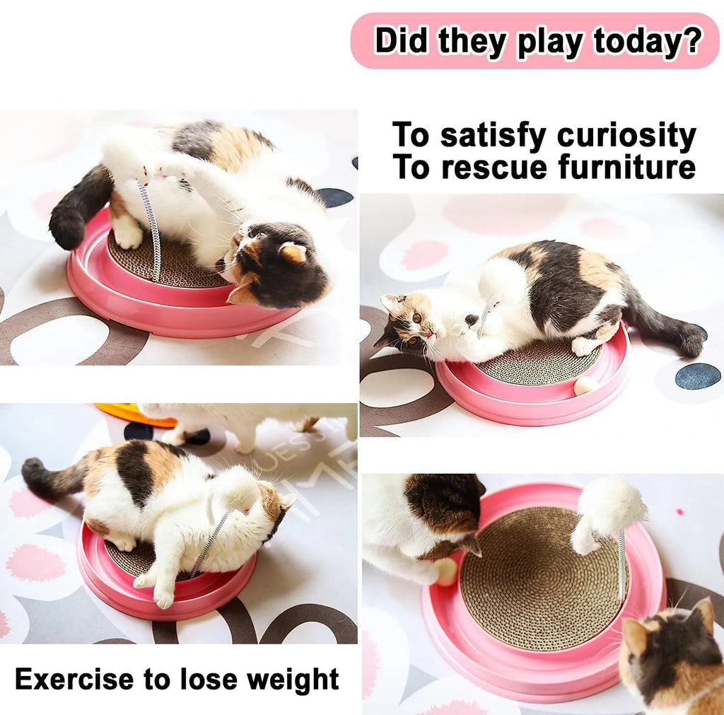 Blue circular cat scratcher with ball track and replaceable cardboard centre