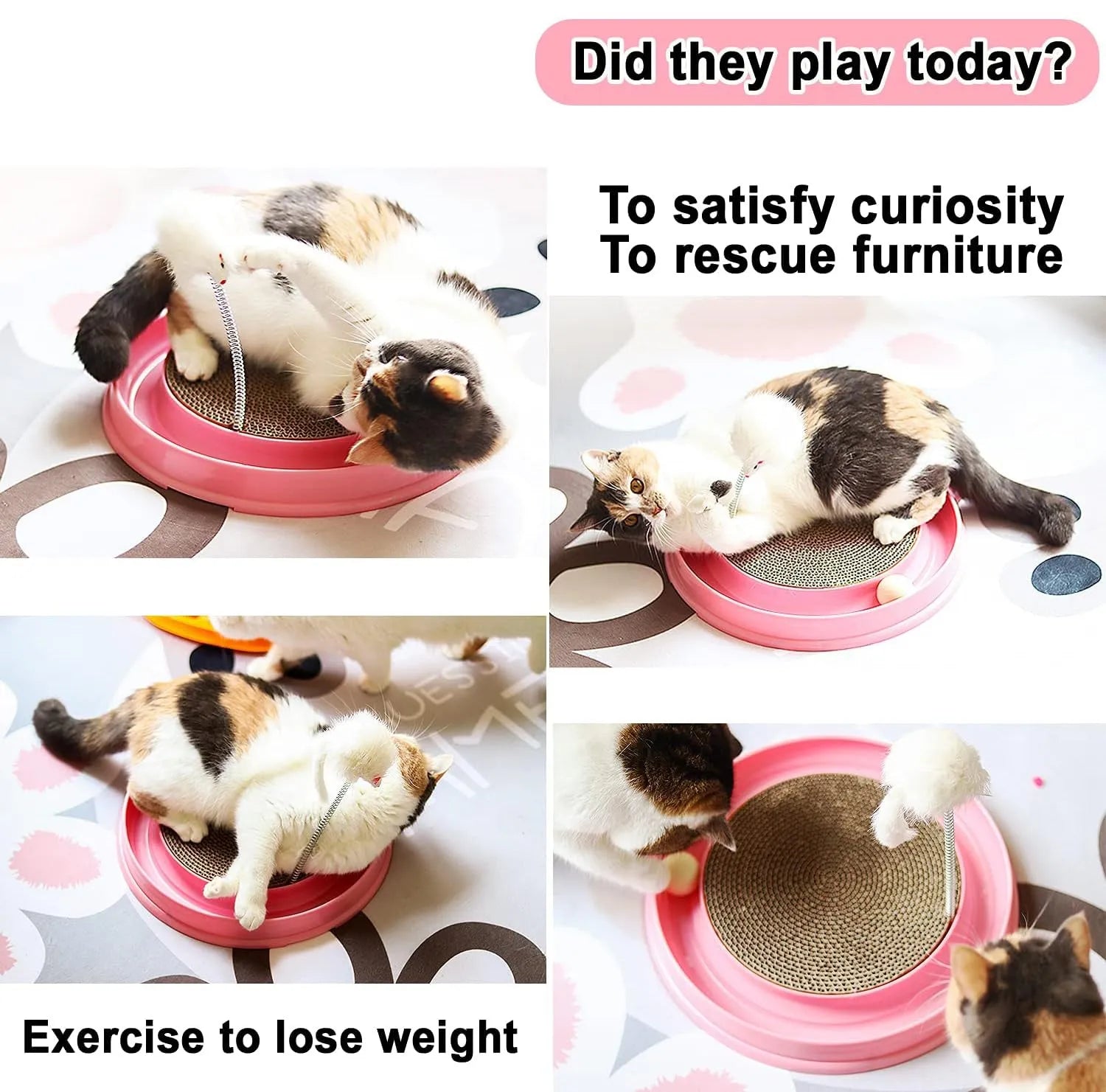 Blue circular cat scratcher with ball track and replaceable cardboard centre