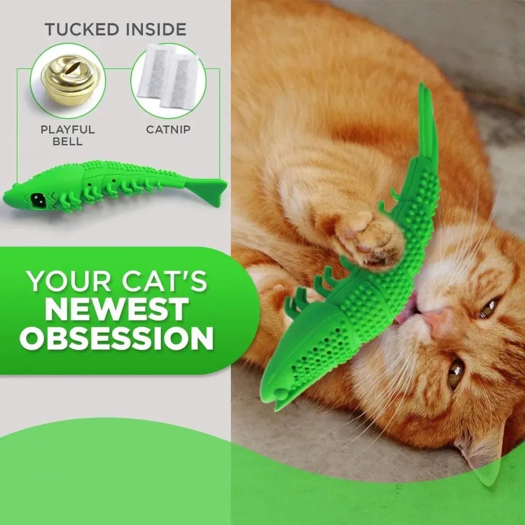 Blue hard rubber cat toy with textured brush surface for teeth cleaning, containing catnip and bell inside