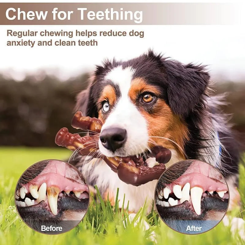 Scarlet beef flavour nylon dog chew toy for molar cleaning, size 10.7x17.2x5cm.