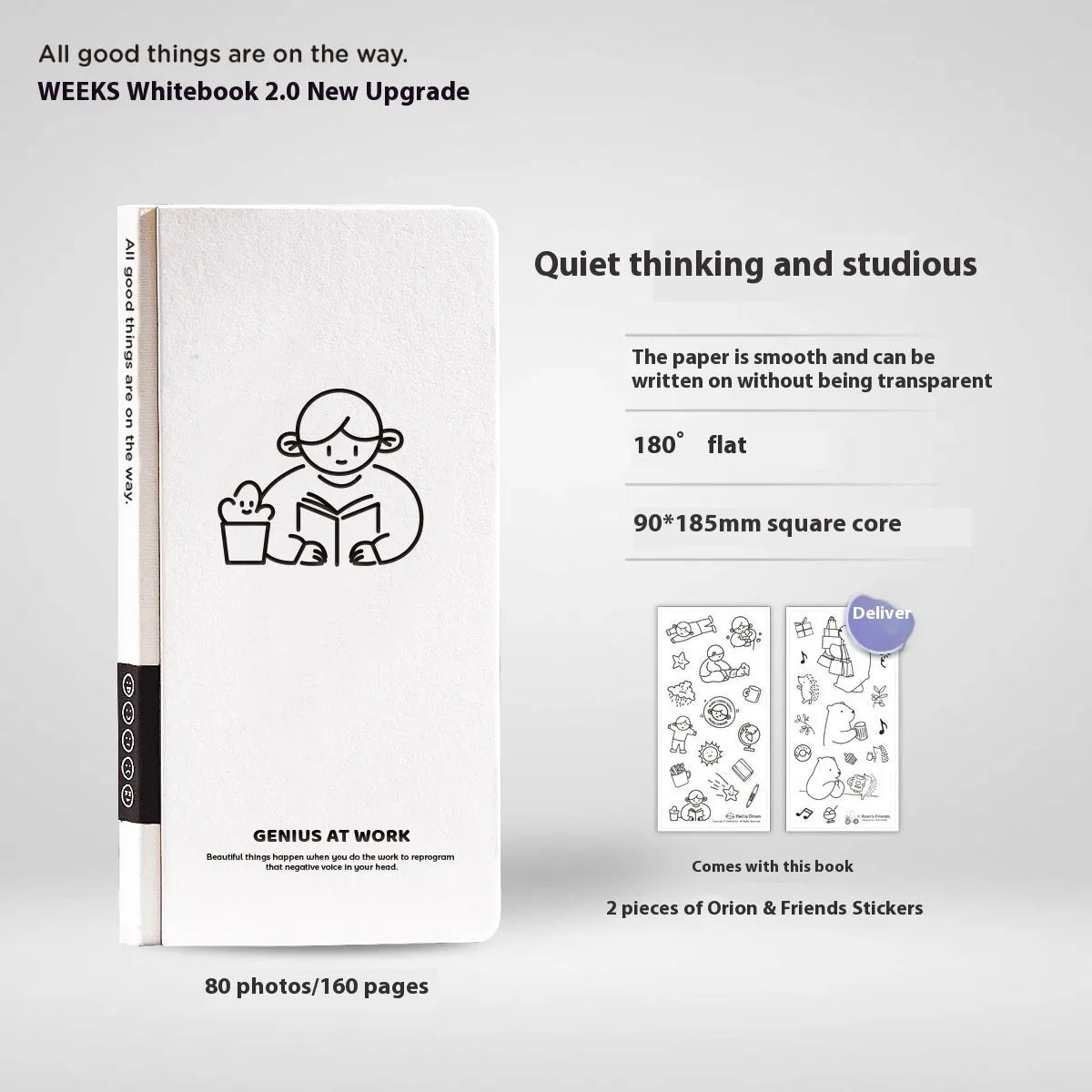Small plaid mesh design children's notebook with paper cover and stickers.