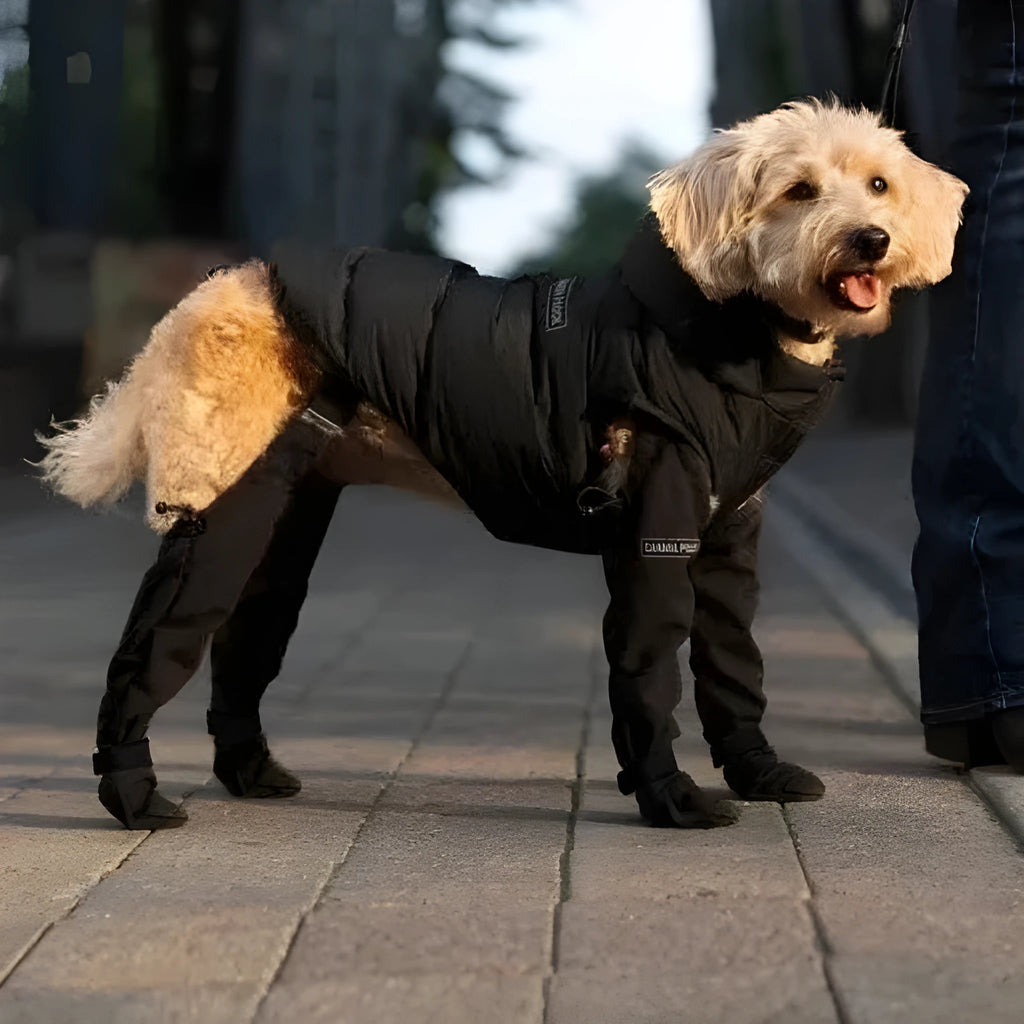 Set of four black waterproof dog shoes with non-slip soles for paw protection.