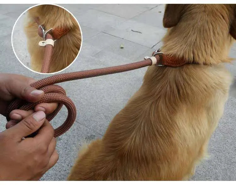 Brown nylon dog leash held in hand showing its 2.1 metre length and P chain handle.