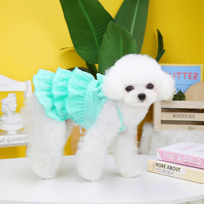 Small dog wearing polyester princess dress with candy layered skirt in water green colour