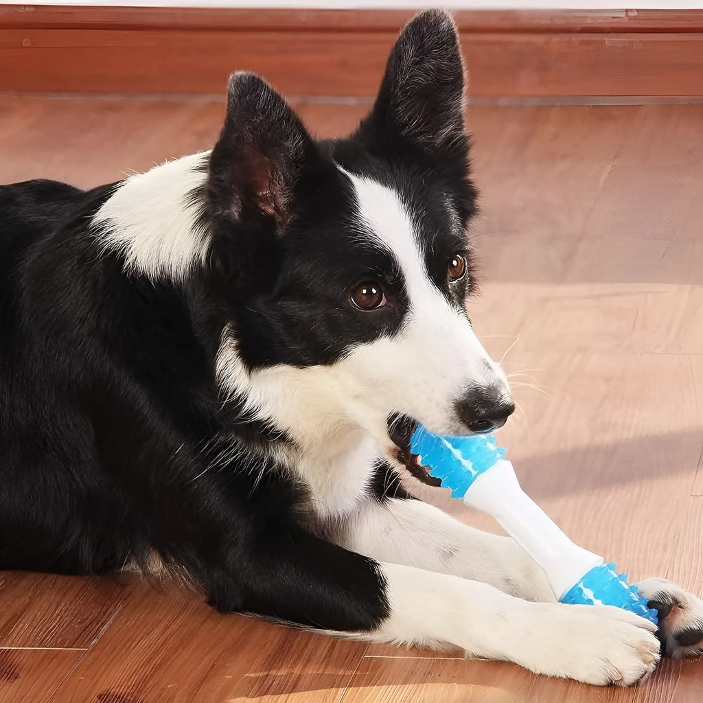 Dual-colour puppy teething chew toy made of TPR rubber for dental health and teething relief