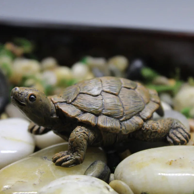 Realistic little turtle resin ornament for micro landscape and garden decoration