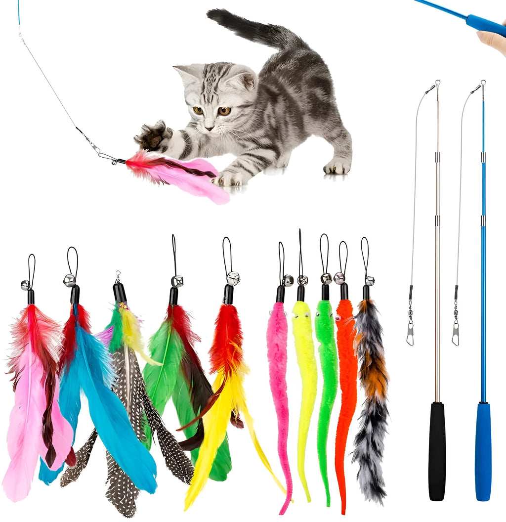 Cat teasing fishing rod set showing two extendable poles and ten feather replacement heads