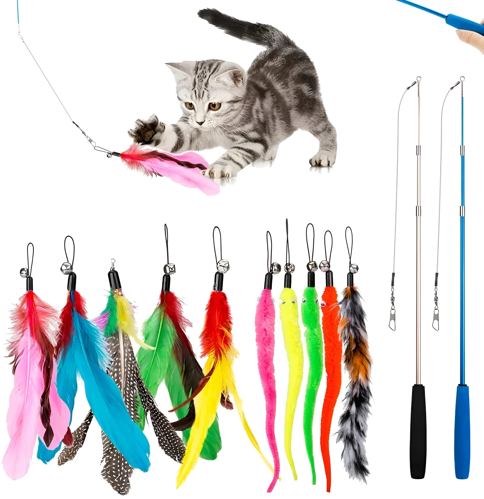Cat teasing fishing rod set showing two extendable poles and ten feather replacement heads